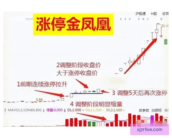 现金真人娱乐推荐平台解析及安全玩法详解